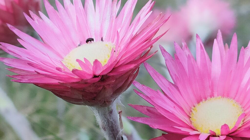 How can targeting your digestive health benefit you?