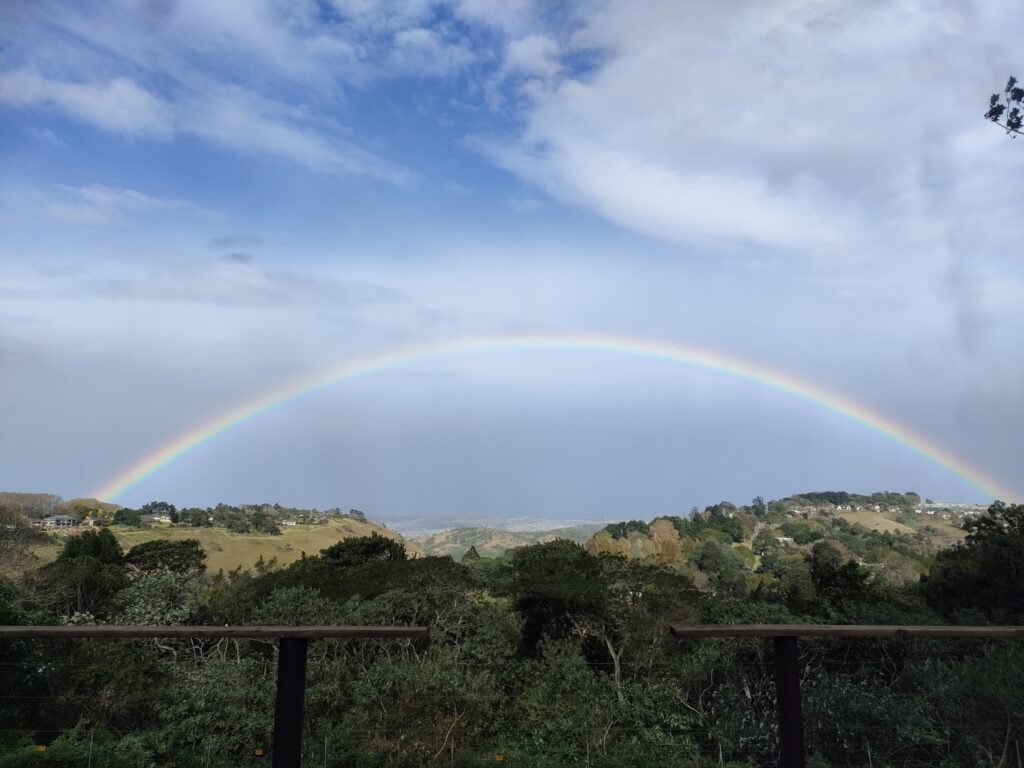 Microdosing with a Guide: Why Going It Alone Isn't Really Going At All